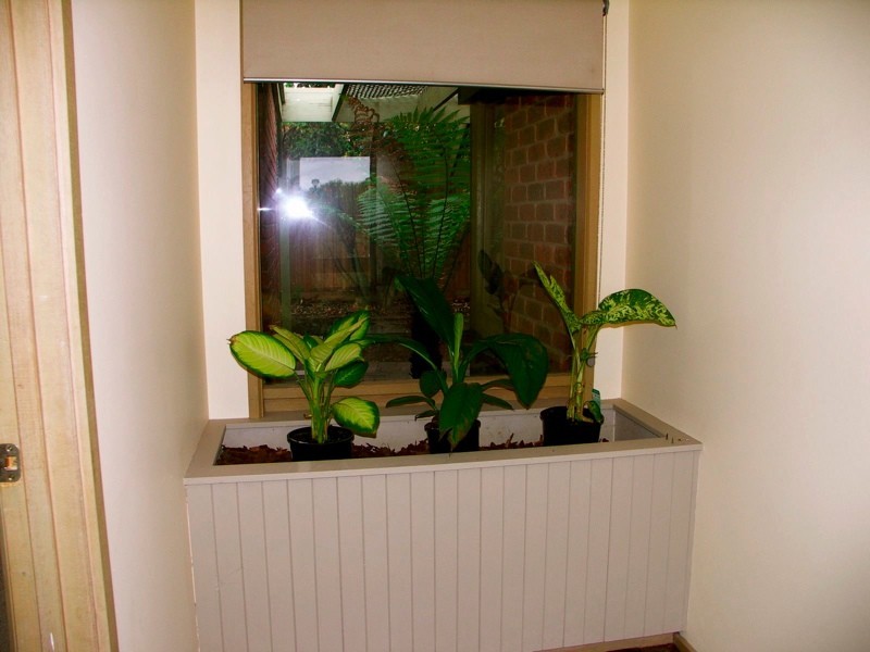 38 Granton Avenue, Endeavour Hills VIC 3802