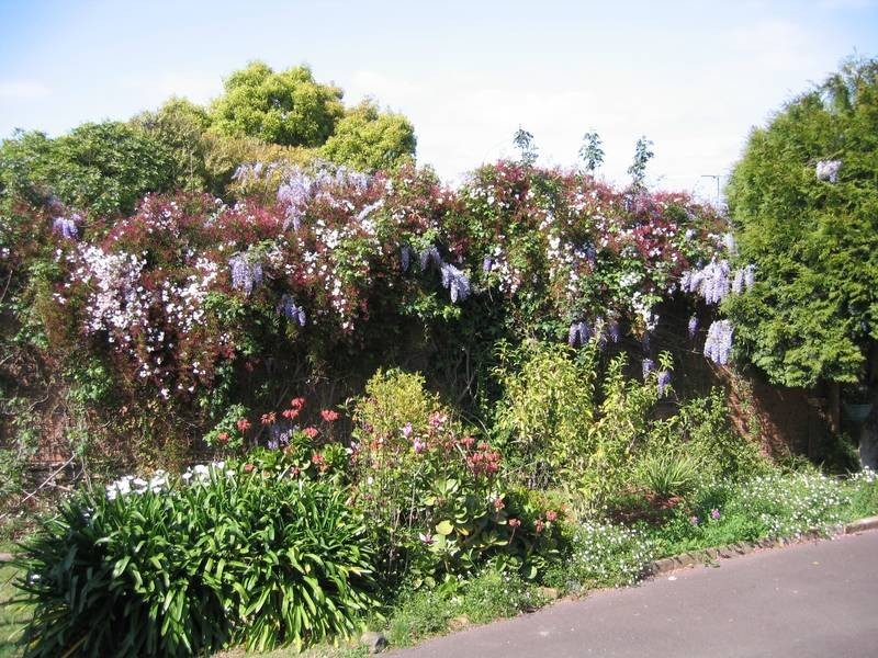 5 Childs Rise, Endeavour Hills VIC 3802