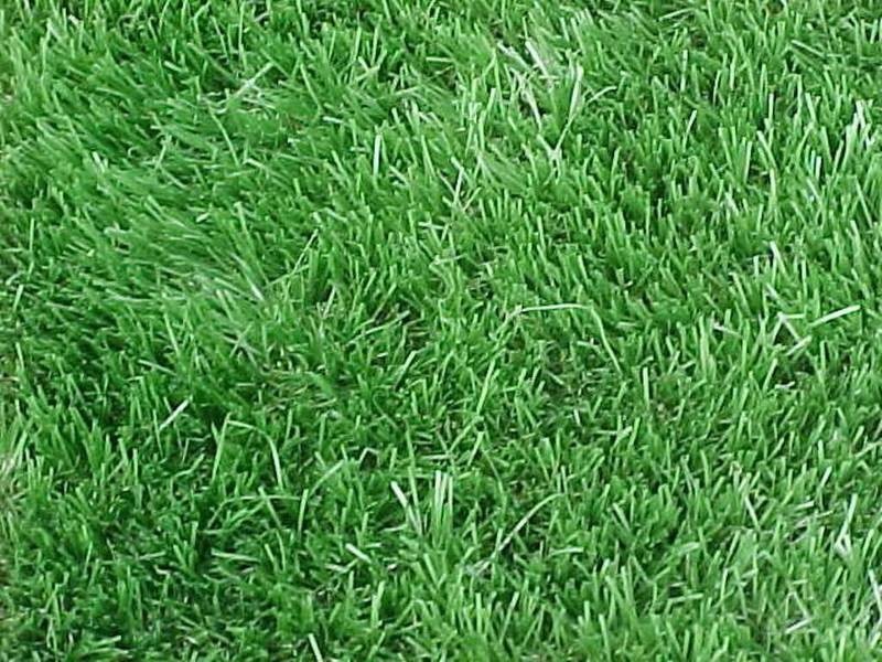 13 Sheldon Drive, Berwick VIC 3806