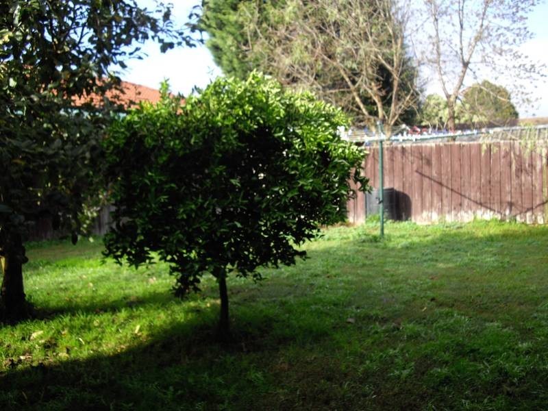 20 Adamson Drive, Endeavour Hills VIC 3802