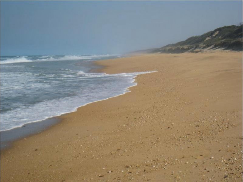 1420 Shoreline Drive, Golden Beach VIC 3851