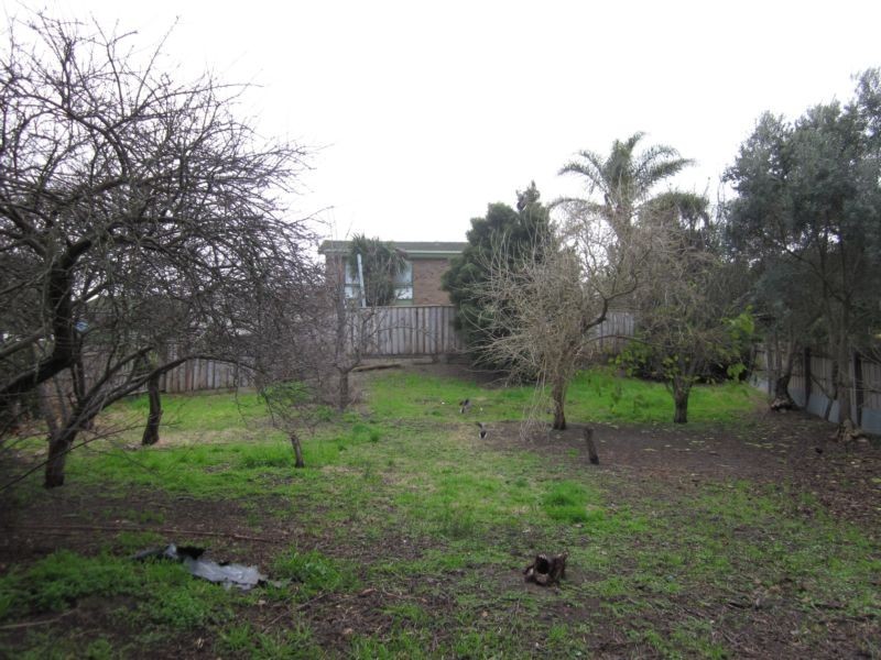 8 Oxley Way, Endeavour Hills VIC 3802