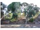 8 Oxley Way, Endeavour Hills VIC 3802
