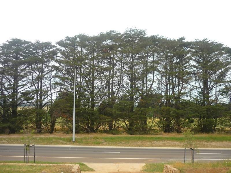 23 Soldiers Road, Berwick VIC 3806