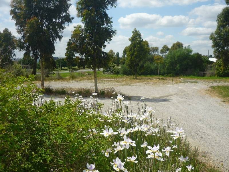 Lot 464, 105 Springfield Drive,, Narre Warren VIC 3805