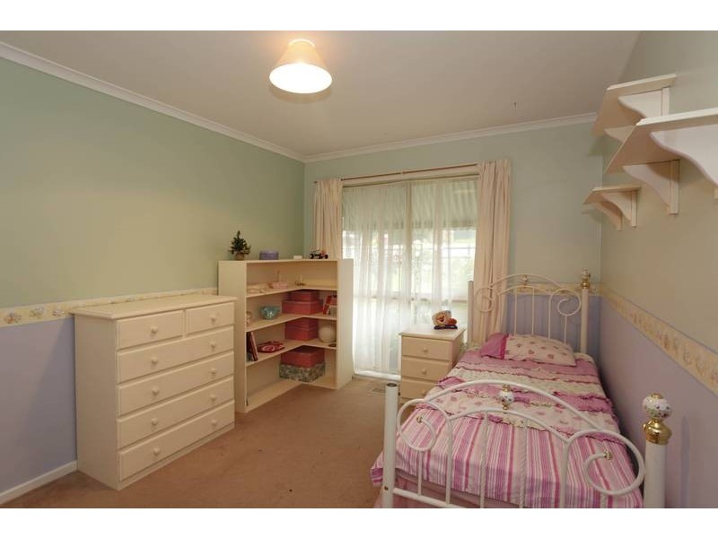 19 Springfield Drive, Narre Warren VIC 3805