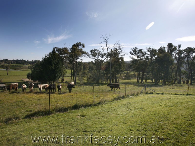 24 Larmour Road, Pakenham VIC 3810