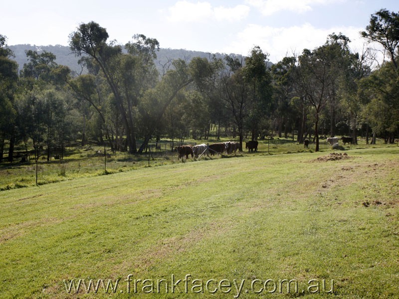24 Larmour Rd, Pakenham VIC 3810