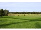Lot 17, 25 Avenview Drive, Narre Warren North VIC 3804