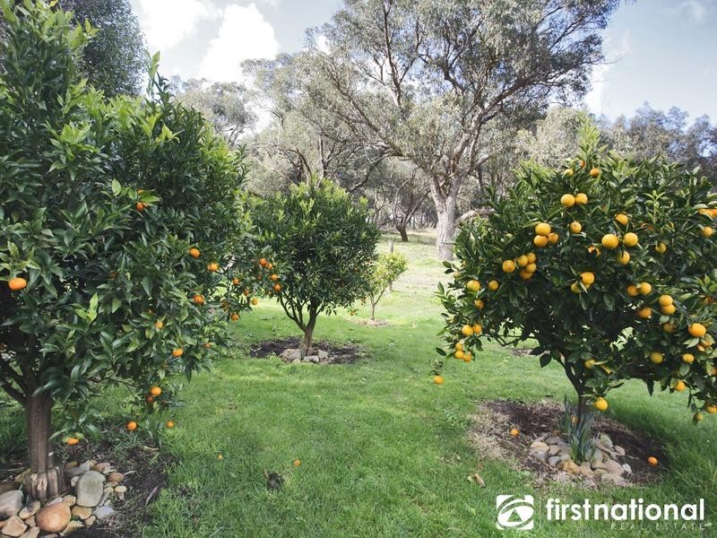 113 A’Beckett Road, Narre Warren North VIC 3804