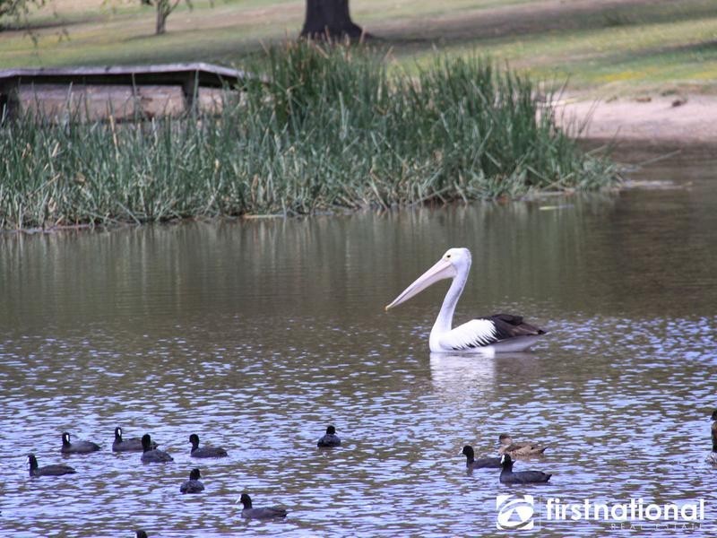 11 & 12 Oaks Court, Lysterfield South VIC 3156