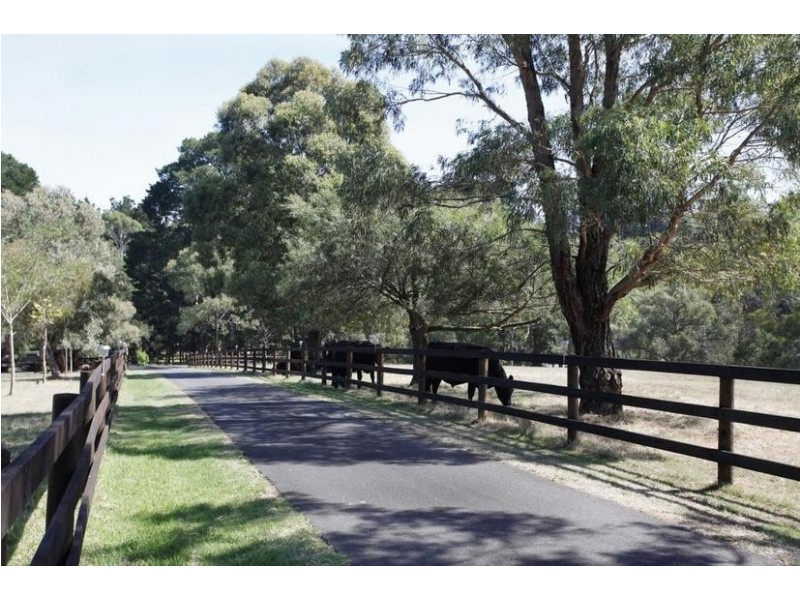 1380 Wellington Road, Narre Warren East VIC 3804