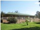 - Packham Drive, Molong NSW 2866
