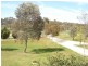- Packham Drive, Molong NSW 2866
