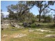 - Packham Drive, Molong NSW 2866