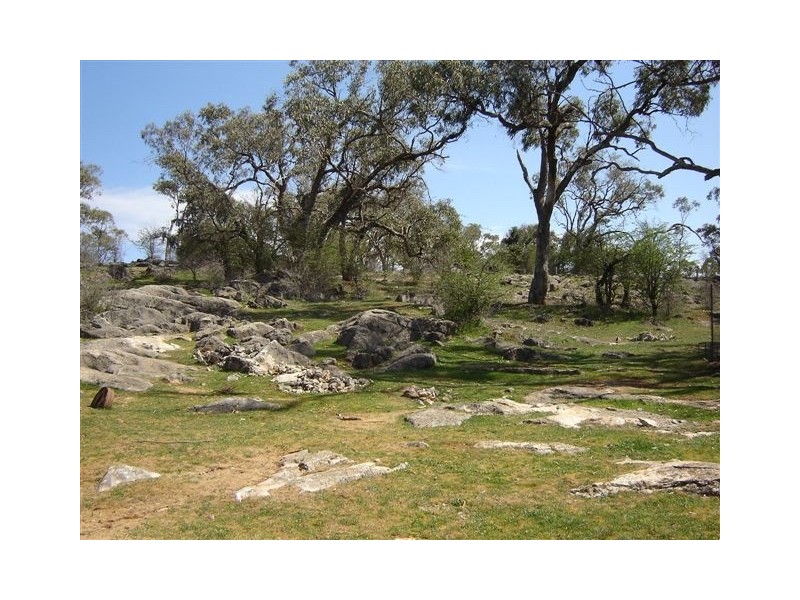 - Packham Drive, Molong NSW 2866