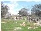 - Packham Drive, Molong NSW 2866