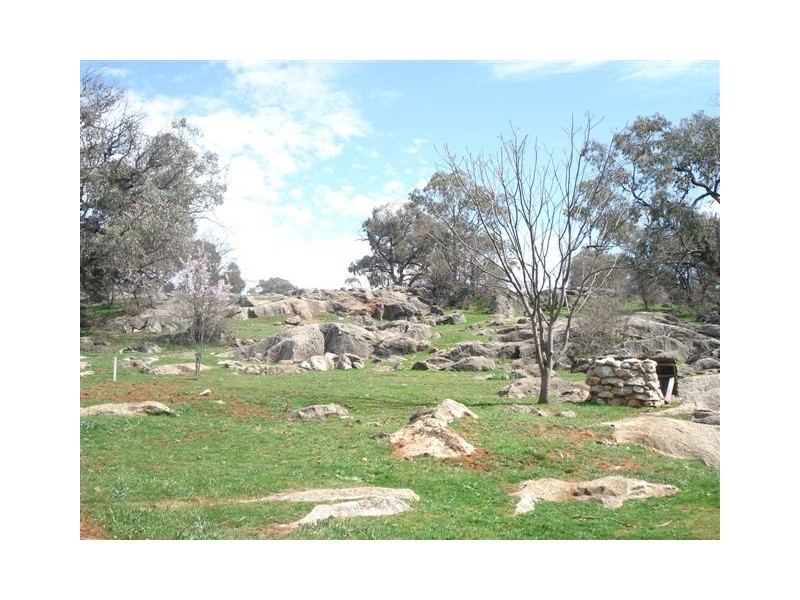 - Packham Drive, Molong NSW 2866