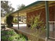 - Packham Drive, Molong NSW 2866