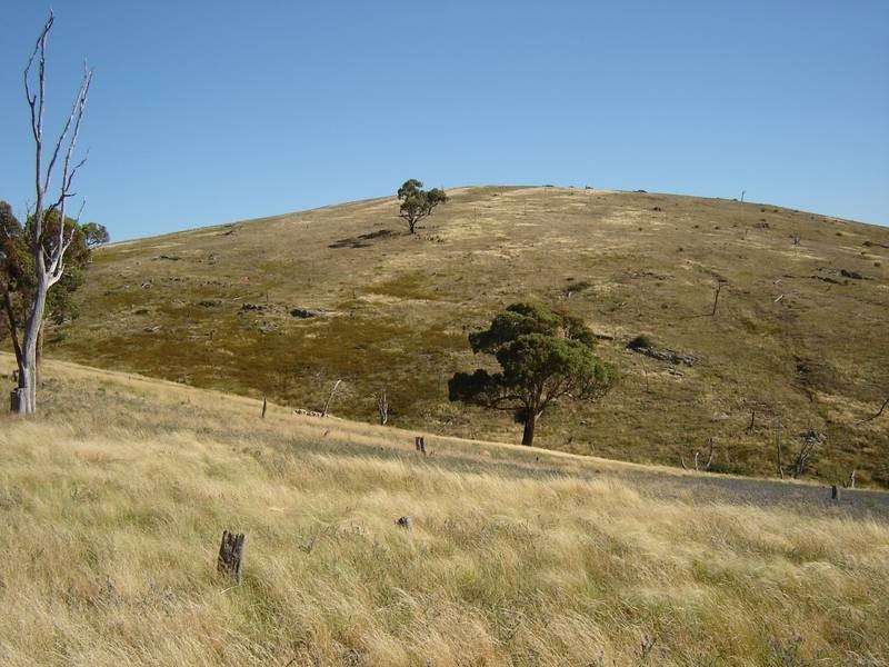 161 Dunstaffnage Road, Browns Creek NSW 2799