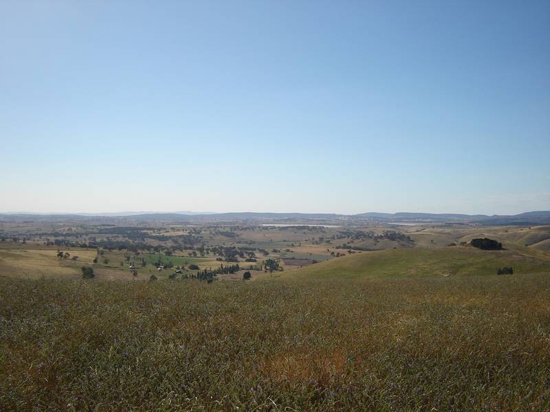 161 Dunstaffnage Road, Browns Creek NSW 2799