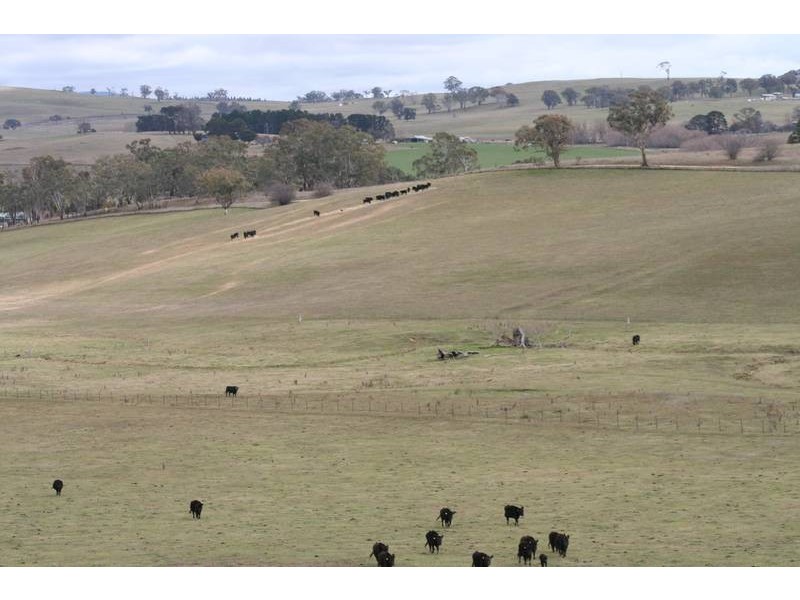 413 Kings Plains Road – Kings Plains, Blayney NSW 2799