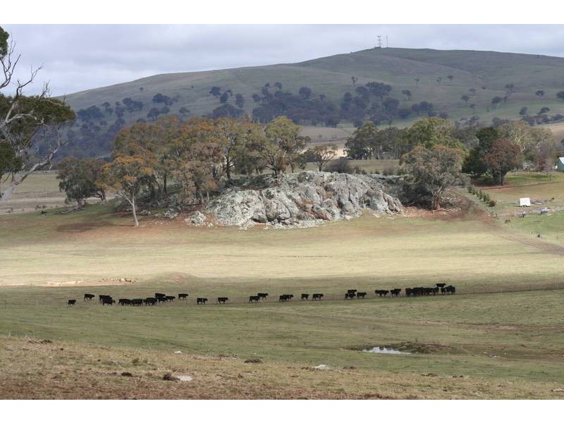 413 Kings Plains Road – Kings Plains, Blayney NSW 2799