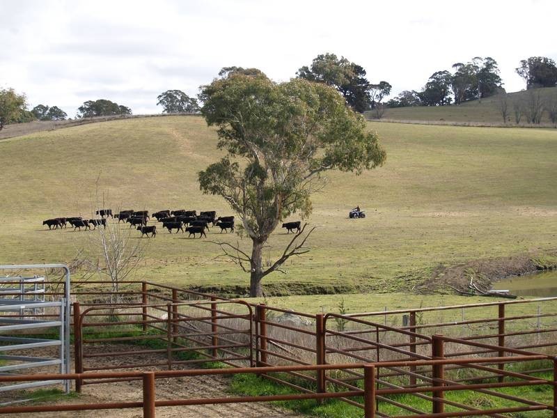 413 Kings Plains Road – Kings Plains, Blayney NSW 2799