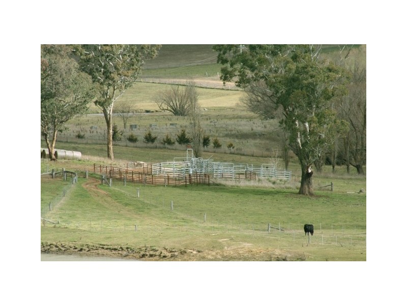 413 Kings Plains Road – Kings Plains, Blayney NSW 2799