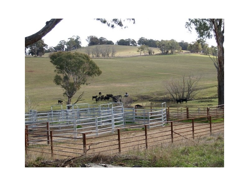 413 Kings Plains Road – Kings Plains, Blayney NSW 2799