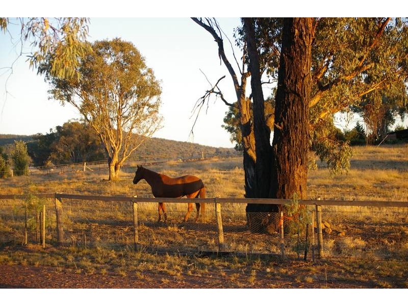 539 Bocobra Road, Manildra NSW 2865