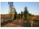 539 Bocobra Road, Manildra NSW 2865
