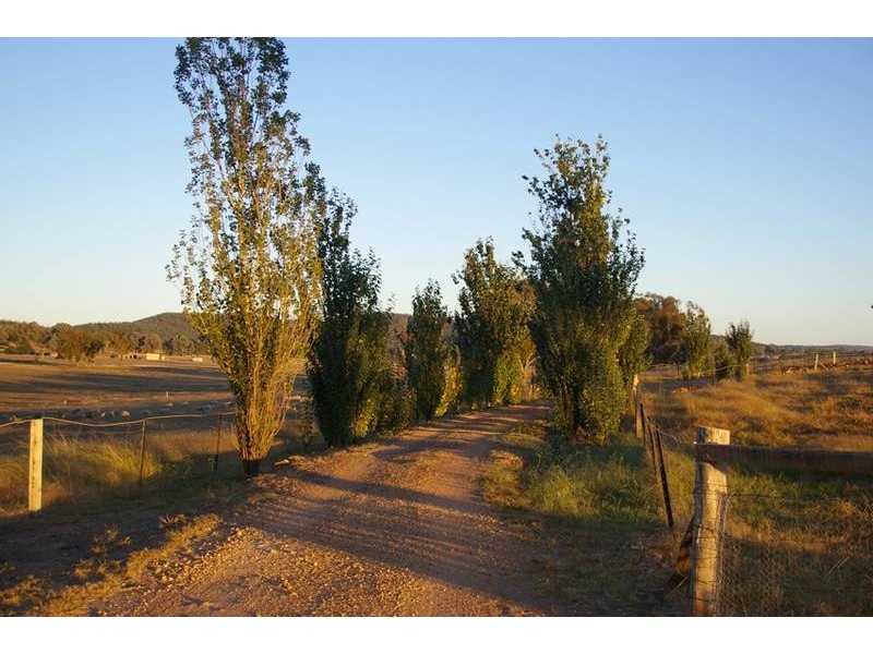 539 Bocobra Road, Manildra NSW 2865