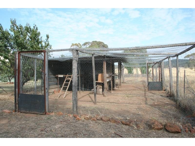 539 Bocobra Road, Manildra NSW 2865