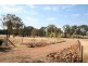 539 Bocobra Road, Manildra NSW 2865