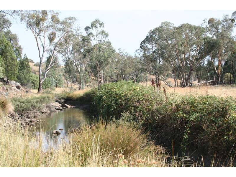 539 Bocobra Road, Manildra NSW 2865