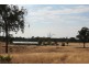 539 Bocobra Road, Manildra NSW 2865