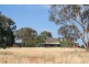 539 Bocobra Road, Manildra NSW 2865