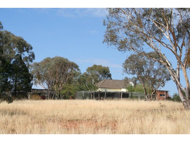 539 Bocobra Road, Manildra NSW 2865