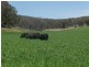 - Gowan Road, Orange NSW 2800