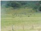 - Gowan Road, Orange NSW 2800