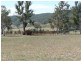 - Gowan Road, Orange NSW 2800