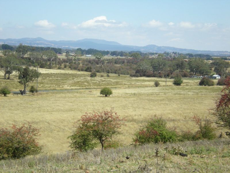 Lot 100, 23 Williams Lane, Shadforth, Orange NSW 2800