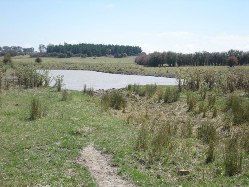 Lot 100, 23 Williams Lane, Shadforth, Orange NSW 2800