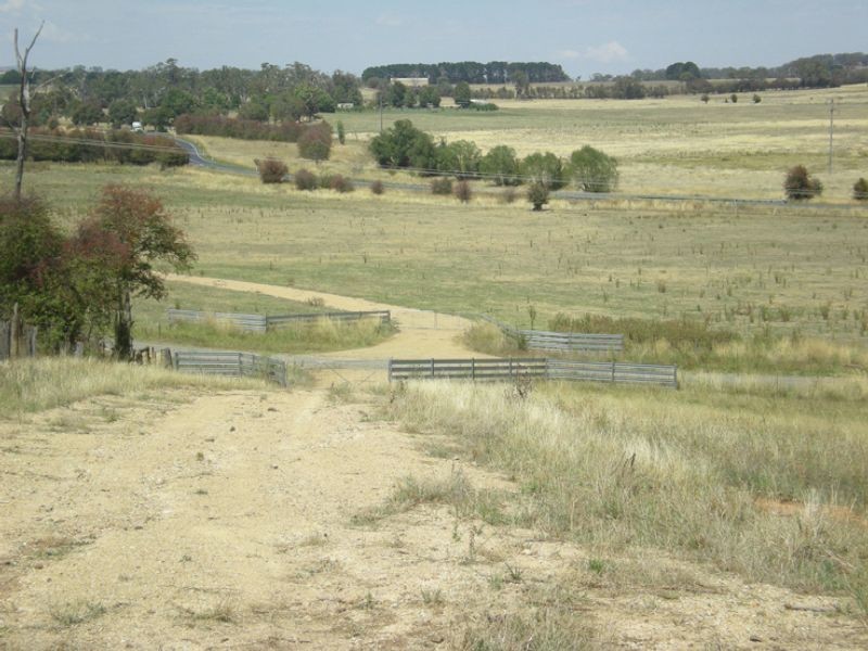 Lot 100, 23 Williams Lane, Shadforth, Orange NSW 2800