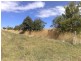 154 Favell Road (Lucknow), Orange NSW 2800