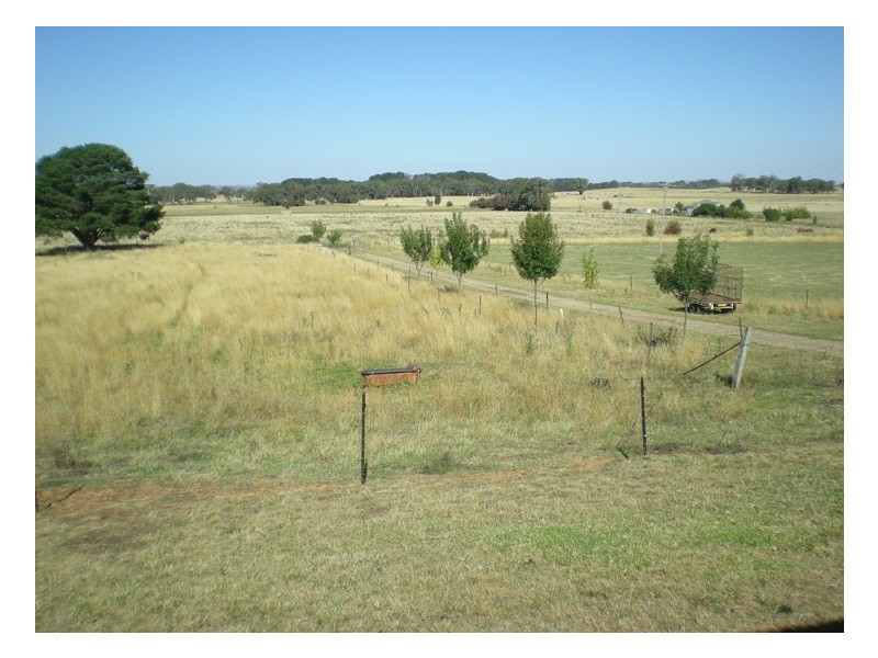 - Cnr Orchard Road and Forest Reefs Road, Orange NSW 2800