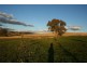 23 Windera Way, Orange NSW 2800
