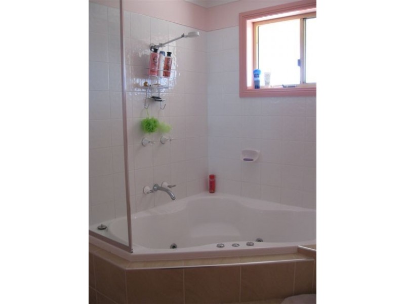 102 Speedy Street, Molong NSW 2866