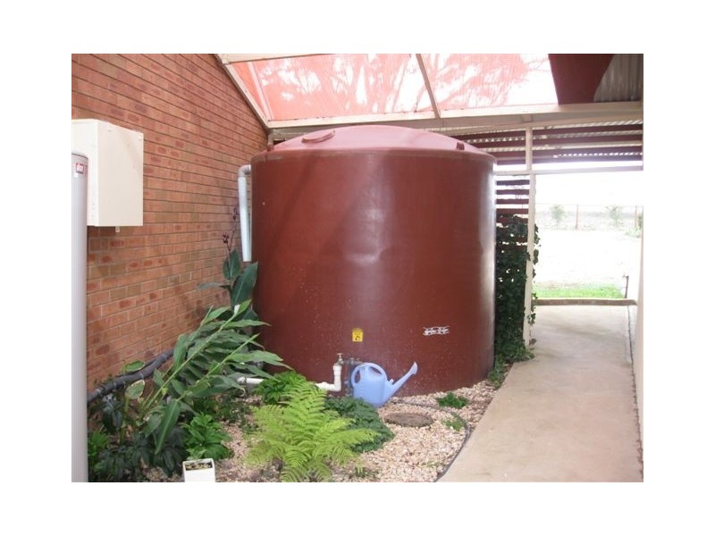 102 Speedy Street, Molong NSW 2866